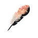 passiondesignR