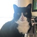 Mr. Tuddles