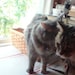 Buffy and Fluff