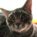 Milton