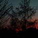 Morning sky in the Pacific NW