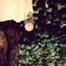 LOVNTG