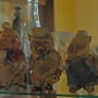 shop-member-photo