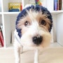 shop-member-photo