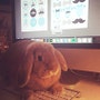 shop-member-photo