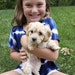 Aubrie