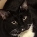Salem