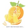 shop-member-photo