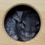 shop-member-photo