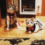 shop-member-photo