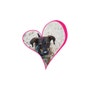 shop-member-photo