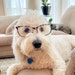 Louie