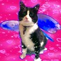 shop-member-photo