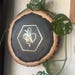 Bee Healthy Hive
