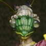 shop-member-photo