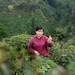 Yanhua Yi