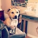 Sophie