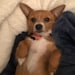 Ellie