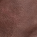 Ellanie