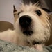 Keely