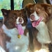 Luci and Doug