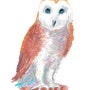 shop-member-photo