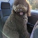 Wally