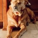 Lucy