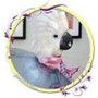 shop-member-photo