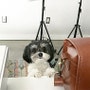 shop-member-photo