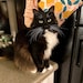 Ollie