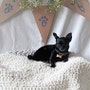 shop-member-photo