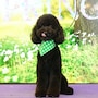 shop-member-photo
