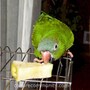 shop-member-photo
