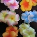 Island Style Flowers