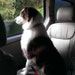 Deacon