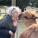 patricia andrews