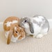 Bunmom