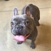 Penny