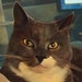 Tux