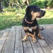 Biggie- AKA Big Bug, Bibbity; Burbubberby