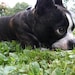 Riley