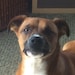 Tucker