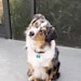 Jaxxson