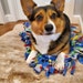 June Bug