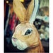 The Rabbit
