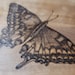 Dezarae