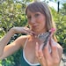 Taylor
