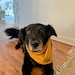 Shiloh