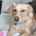 Luma